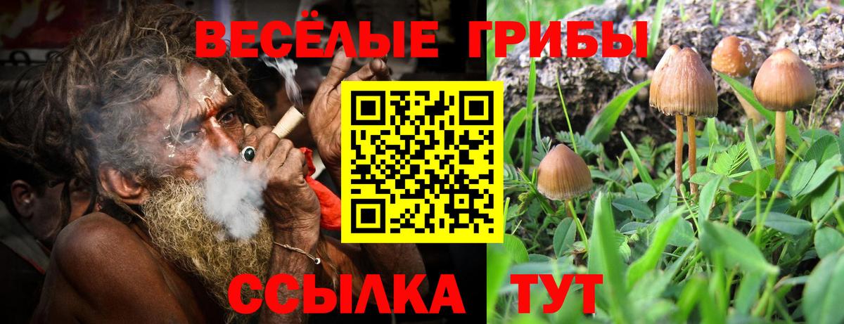 Галлюциногенные грибы Cubensis Воркута